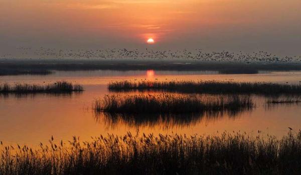 三角洲行动辅助下载（提供三角洲行动辅助下载链接）